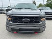 2025 Ford F-150 XL thumbnail image 09