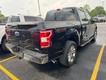 2020 Ford F-150 4WD XLT SuperCrew thumbnail image 10