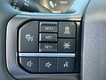 2026 Ford F-150 Tremor thumbnail image 13