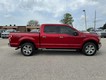 2020 Ford F-150 4WD XLT SuperCrew thumbnail image 02