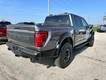 2026 Ford F-150 Raptor thumbnail image 03