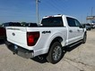 2026 Ford F-150 XLT thumbnail image 03