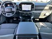 2026 Ford F-150 XLT thumbnail image 05