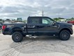 2026 Ford F-150 Tremor thumbnail image 02