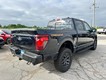 2026 Ford F-150 Tremor thumbnail image 03