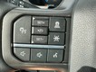 2026 Ford F-150 Tremor thumbnail image 11