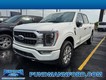 2023 Ford F-150 4WD Platinum SuperCrew thumbnail image 01