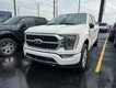 2023 Ford F-150 4WD Platinum SuperCrew thumbnail image 02