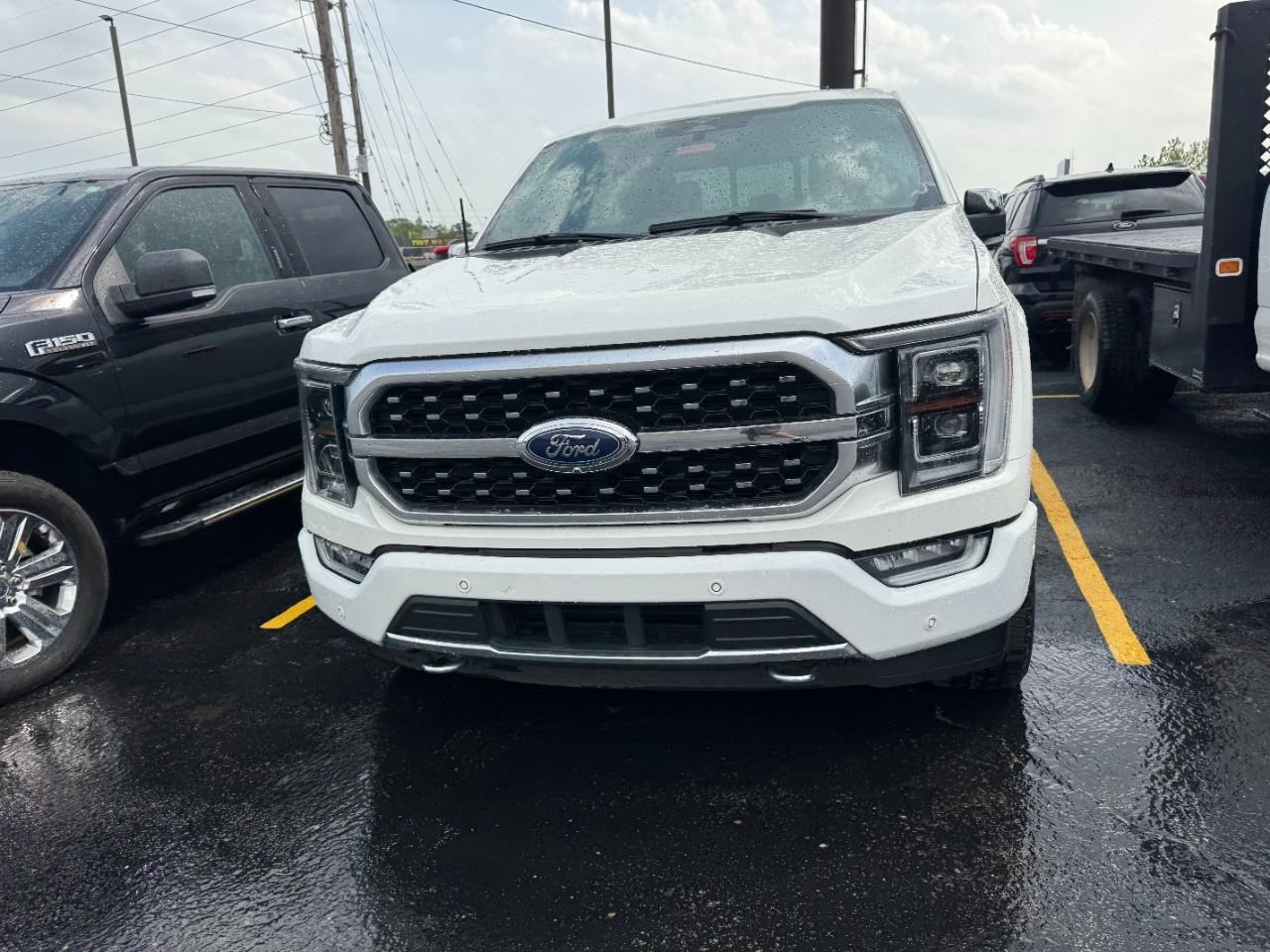 Ford F-150 Vehicle Full-screen Gallery Image 03