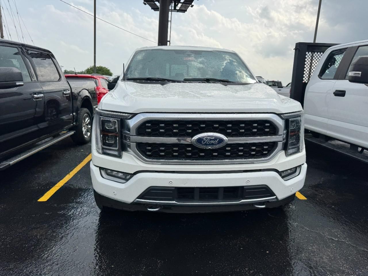 Ford F-150 Vehicle Full-screen Gallery Image 04