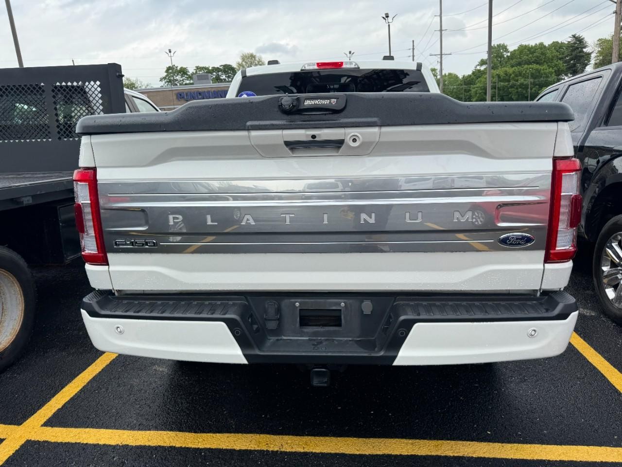 Ford F-150 Vehicle Full-screen Gallery Image 10