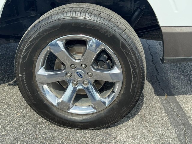 Photo 6