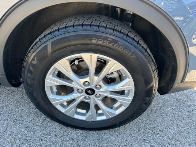 Photo 7