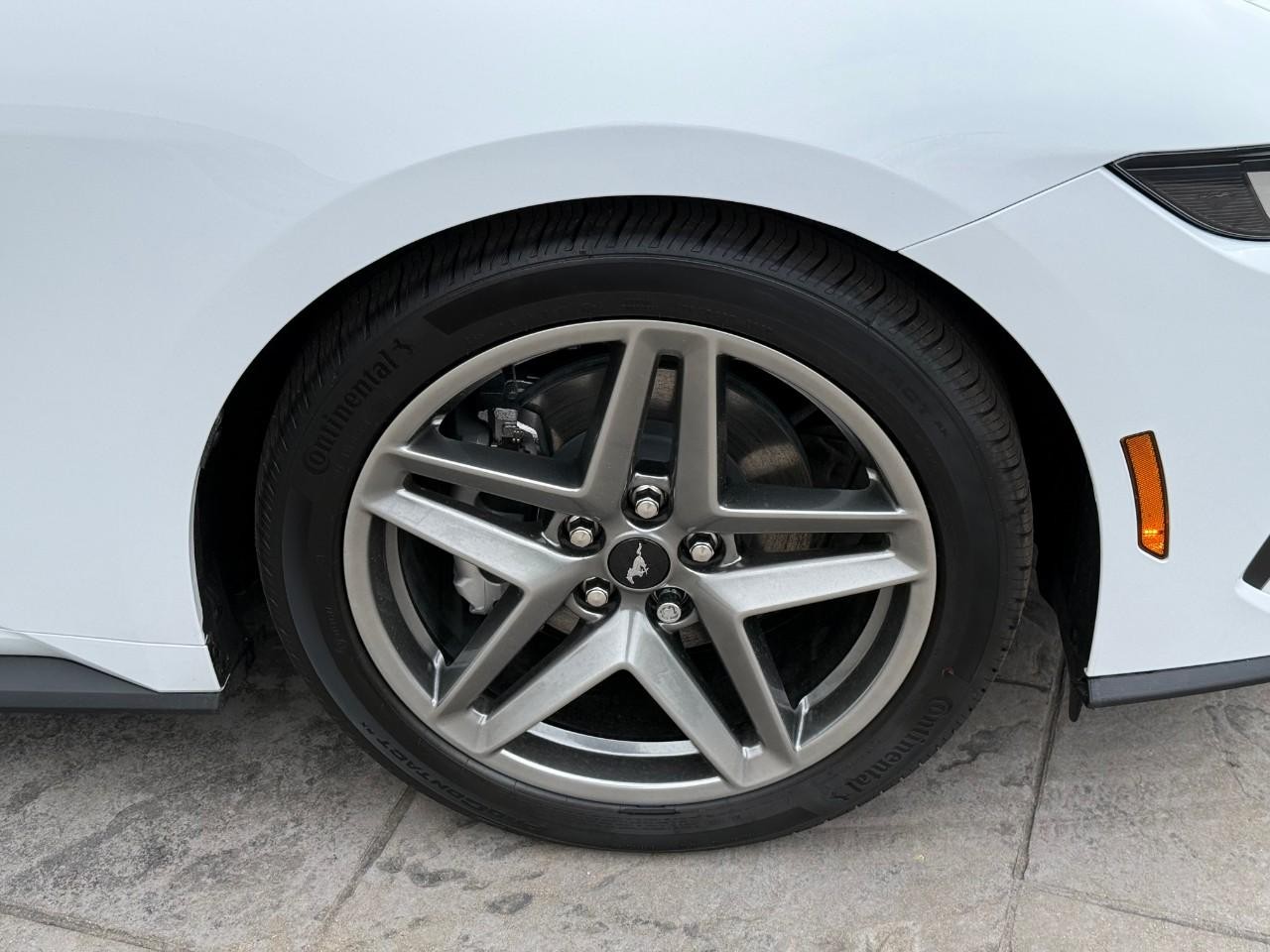 Ford Mustang Vehicle Full-screen Gallery Image 04