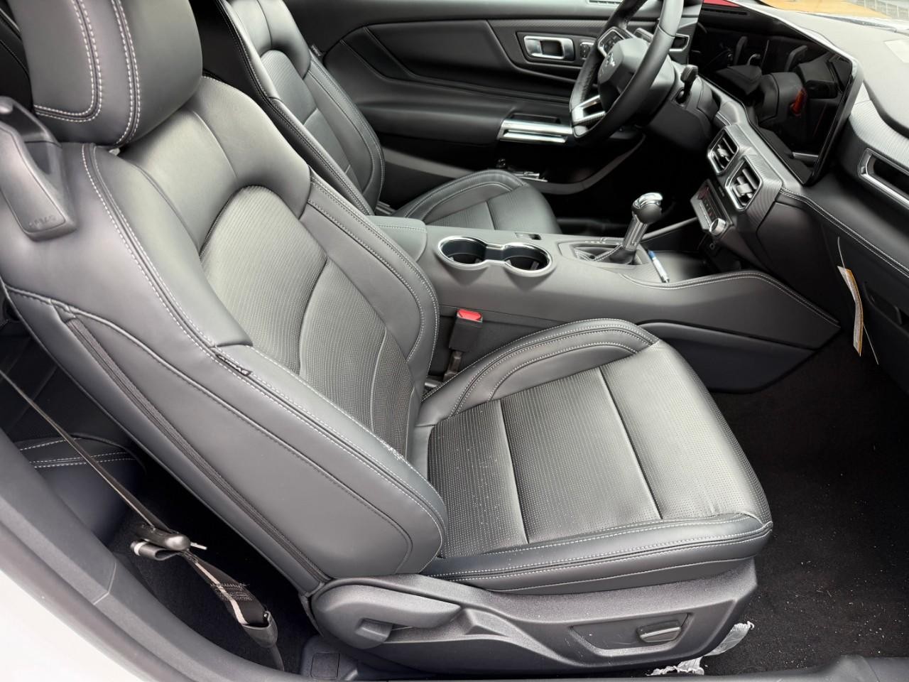 Ford Mustang Vehicle Full-screen Gallery Image 05