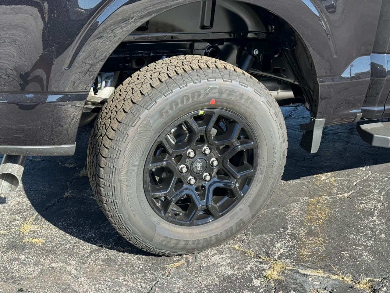 Ford F-150 Vehicle Full-screen Gallery Image 04