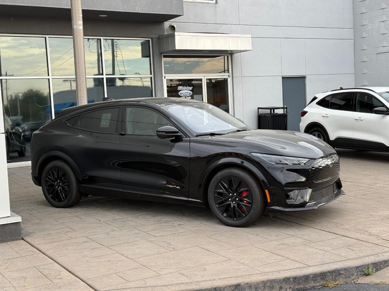 Ford Mustang Mach-E Vehicle Full-screen Gallery Image 02