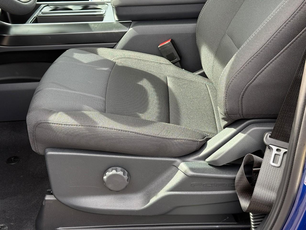 Ford F-150 Vehicle Full-screen Gallery Image 11