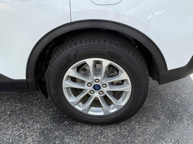 Photo 5
