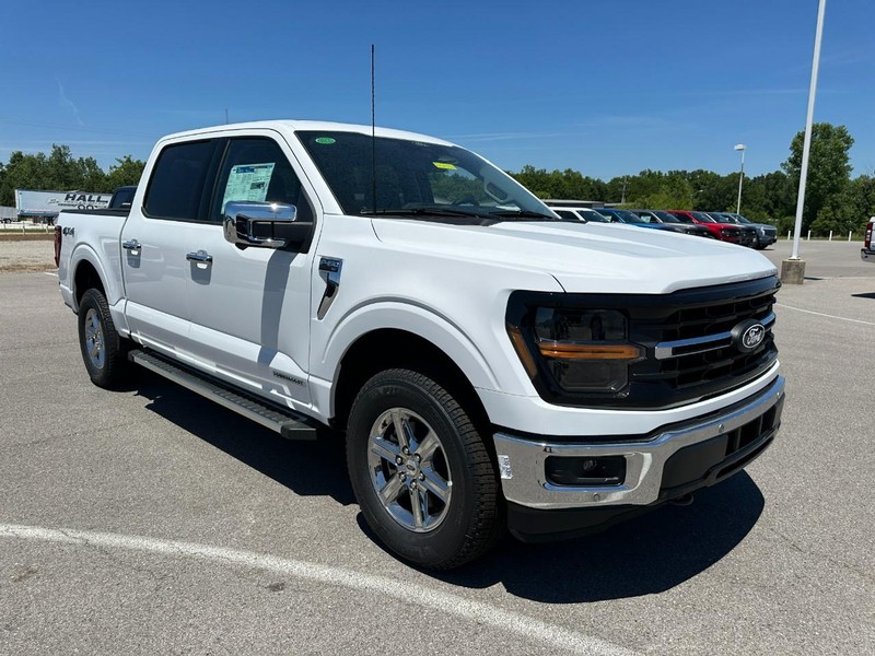 Ford F-150 Vehicle Image 02