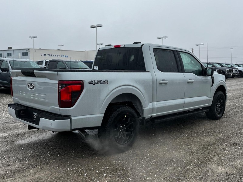 Ford F-150 Vehicle Image 03