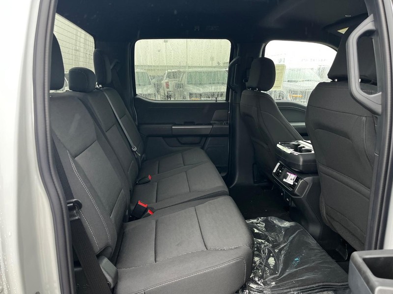 Ford F-150 Vehicle Image 04
