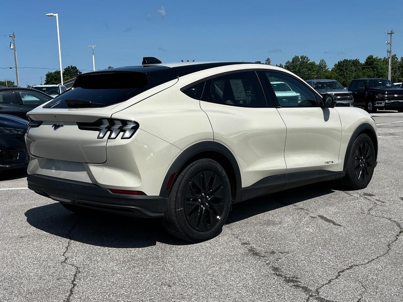 Ford Mustang Mach-E Vehicle Image 03