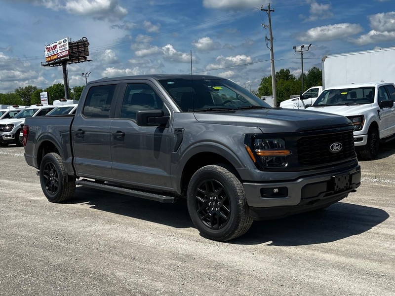 Ford F-150 Vehicle Image 02