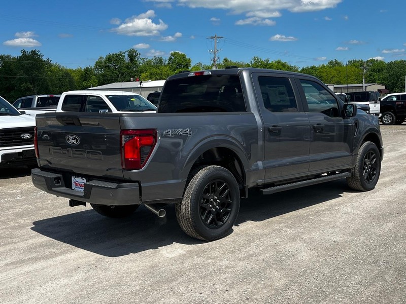 Ford F-150 Vehicle Image 03