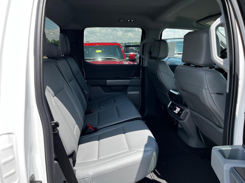 Ford F-150 Lightning Vehicle Image 04