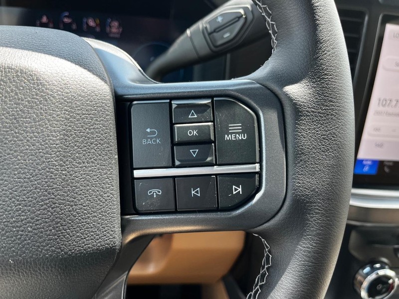 Ford Super Duty F-250 SRW Vehicle Image 12