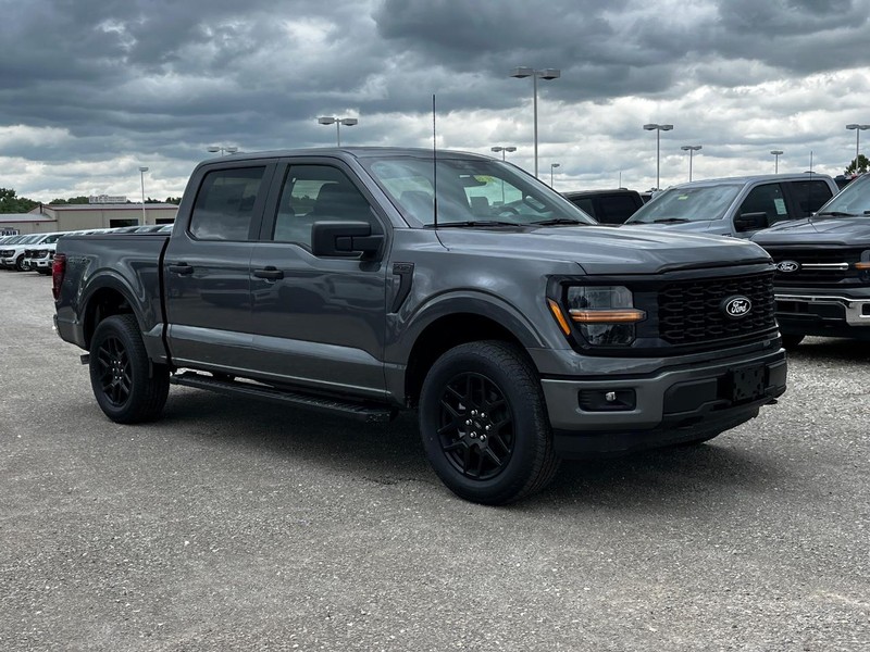 Ford F-150 Vehicle Image 02