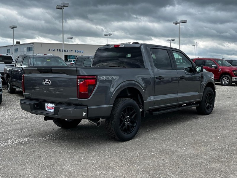 Ford F-150 Vehicle Image 03