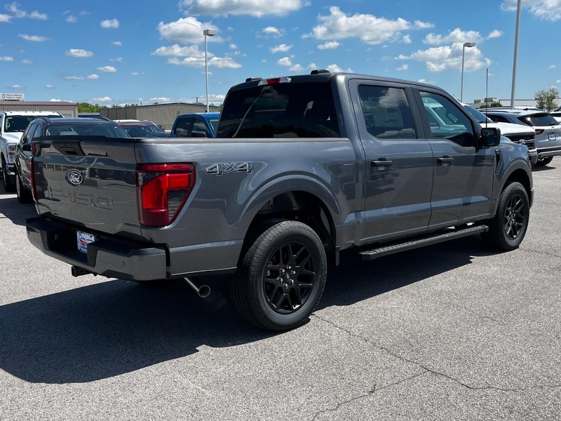 Ford F-150 Vehicle Image 03