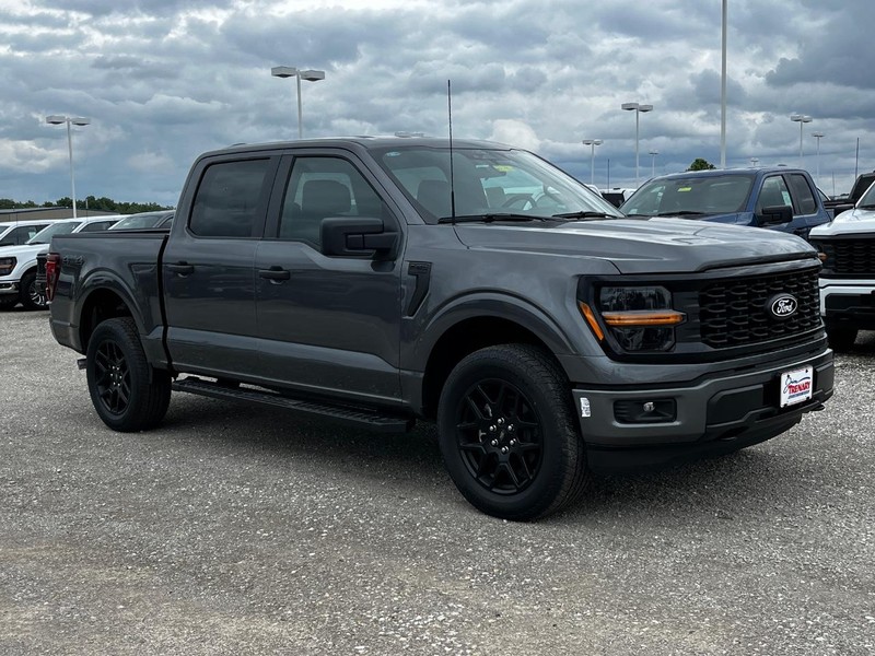Ford F-150 Vehicle Image 02