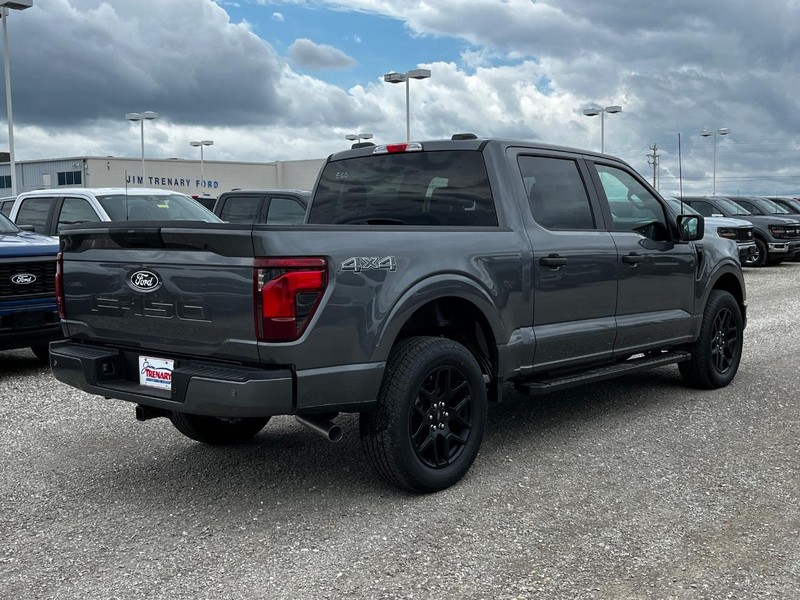 Ford F-150 Vehicle Image 03