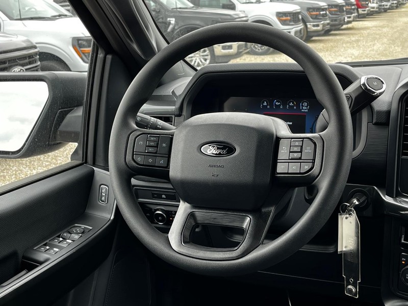 Ford F-150 Vehicle Image 06