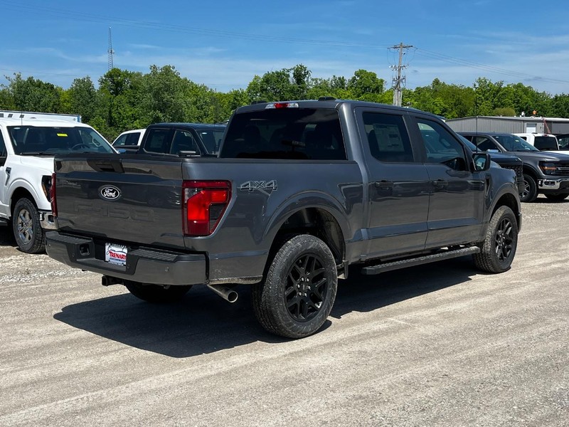 Ford F-150 Vehicle Image 03