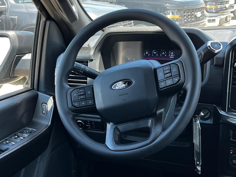Ford F-150 Vehicle Image 06