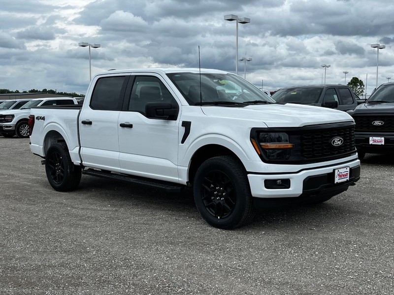 Ford F-150 Vehicle Image 02