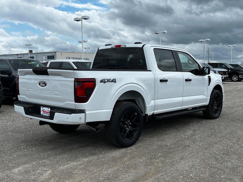 Ford F-150 Vehicle Image 03