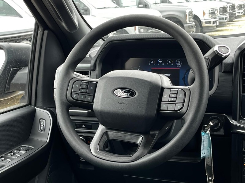 Ford F-150 Vehicle Image 06