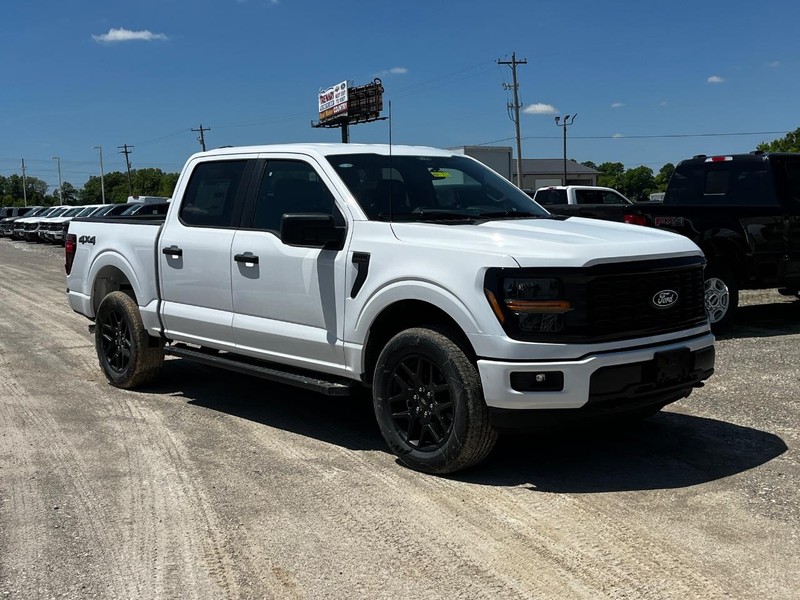 Ford F-150 Vehicle Image 02