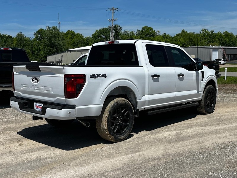 Ford F-150 Vehicle Image 03