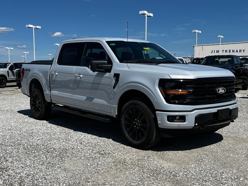 Ford F-150 Vehicle Image 02