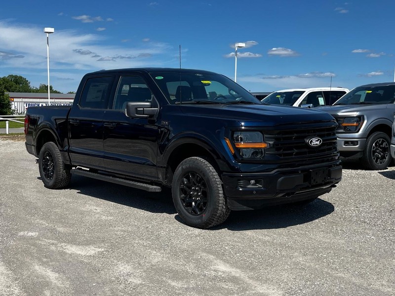 Ford F-150 Vehicle Image 02