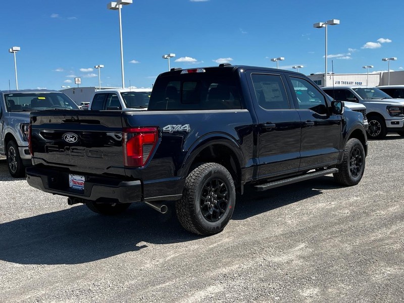 Ford F-150 Vehicle Image 03