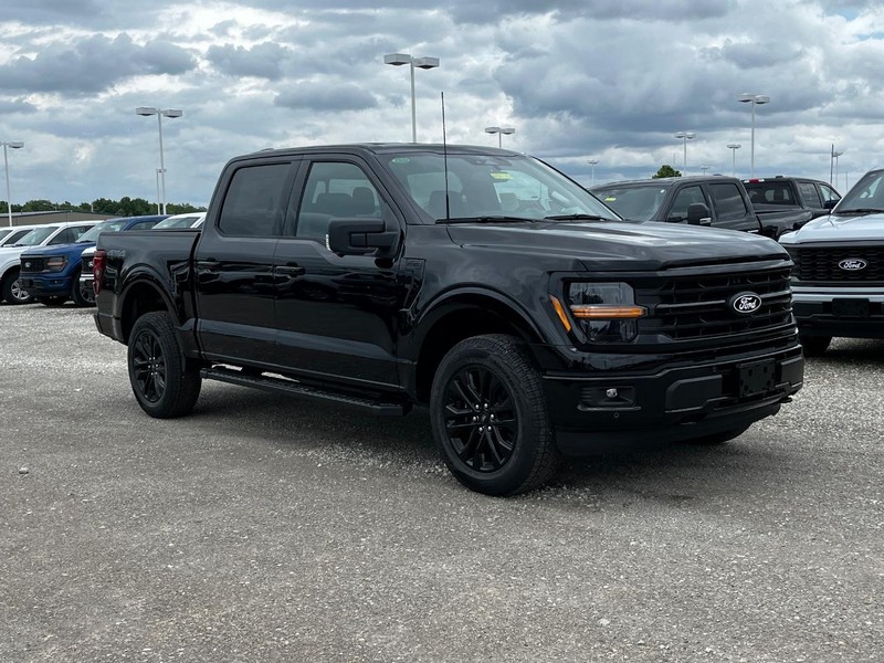 Ford F-150 Vehicle Image 02