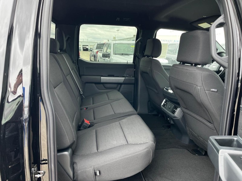 Ford F-150 Vehicle Image 04