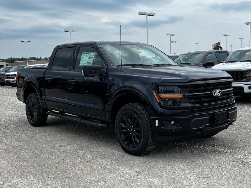 Ford F-150 Vehicle Image 02
